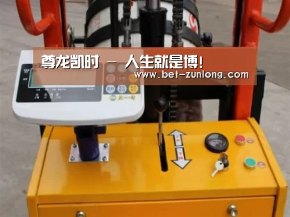 尊龙凯时案例展示三