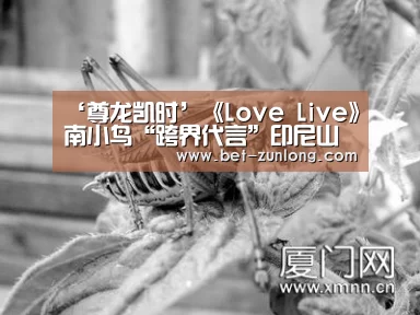‘尊龙凯时’《Love Live》南小鸟“跨界代言”印尼山寨肯德基(图3) 尊龙凯时