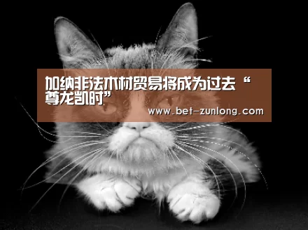 加纳非法木材贸易将成为过去“尊龙凯时”(图1) 尊龙凯时人生就是搏