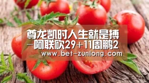 尊龙凯时
