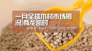 一月全球木材市场概况|尊龙凯时(图3) 尊龙凯时人生就是搏